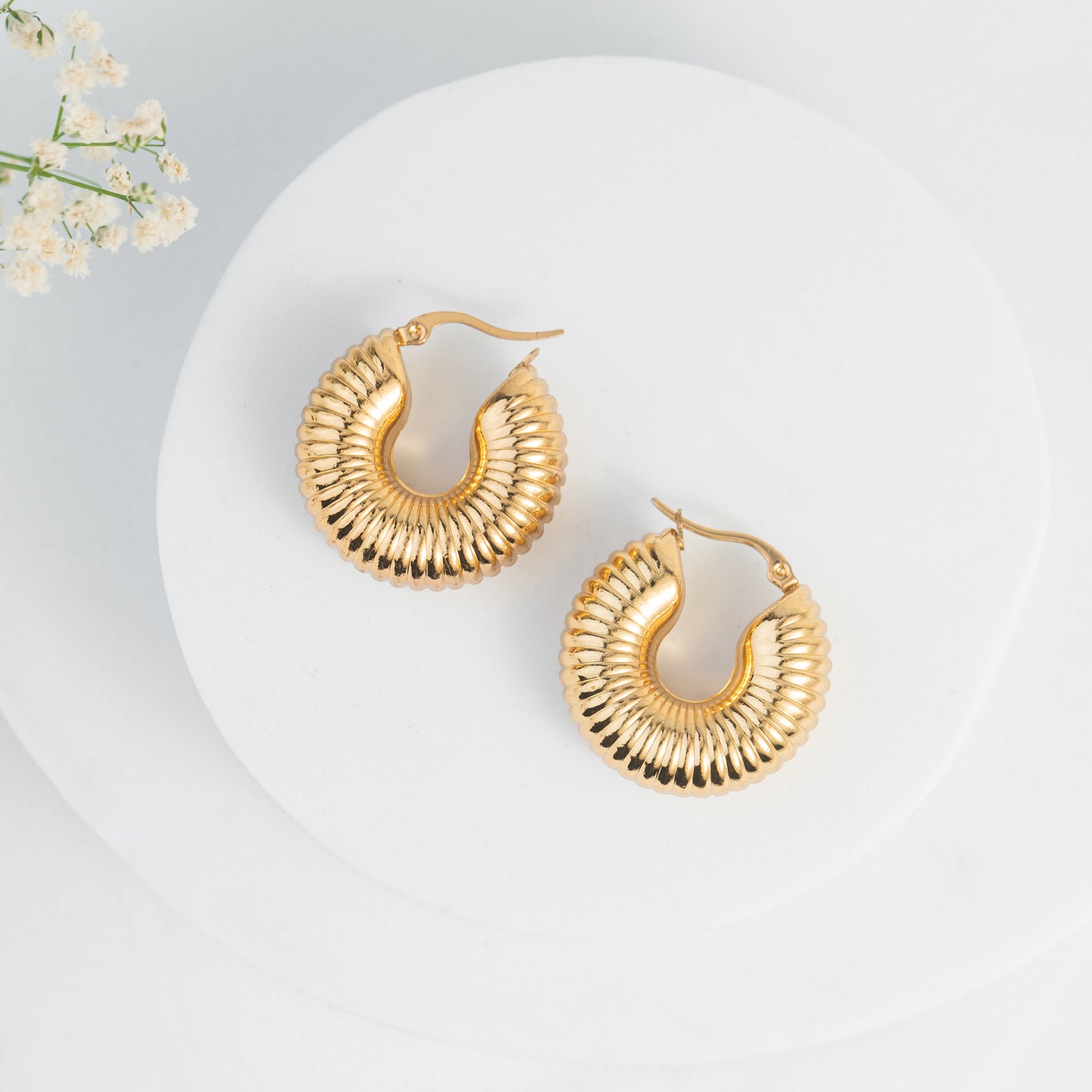 Sophia Chunky Hoops
