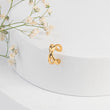 Elle Earcuff