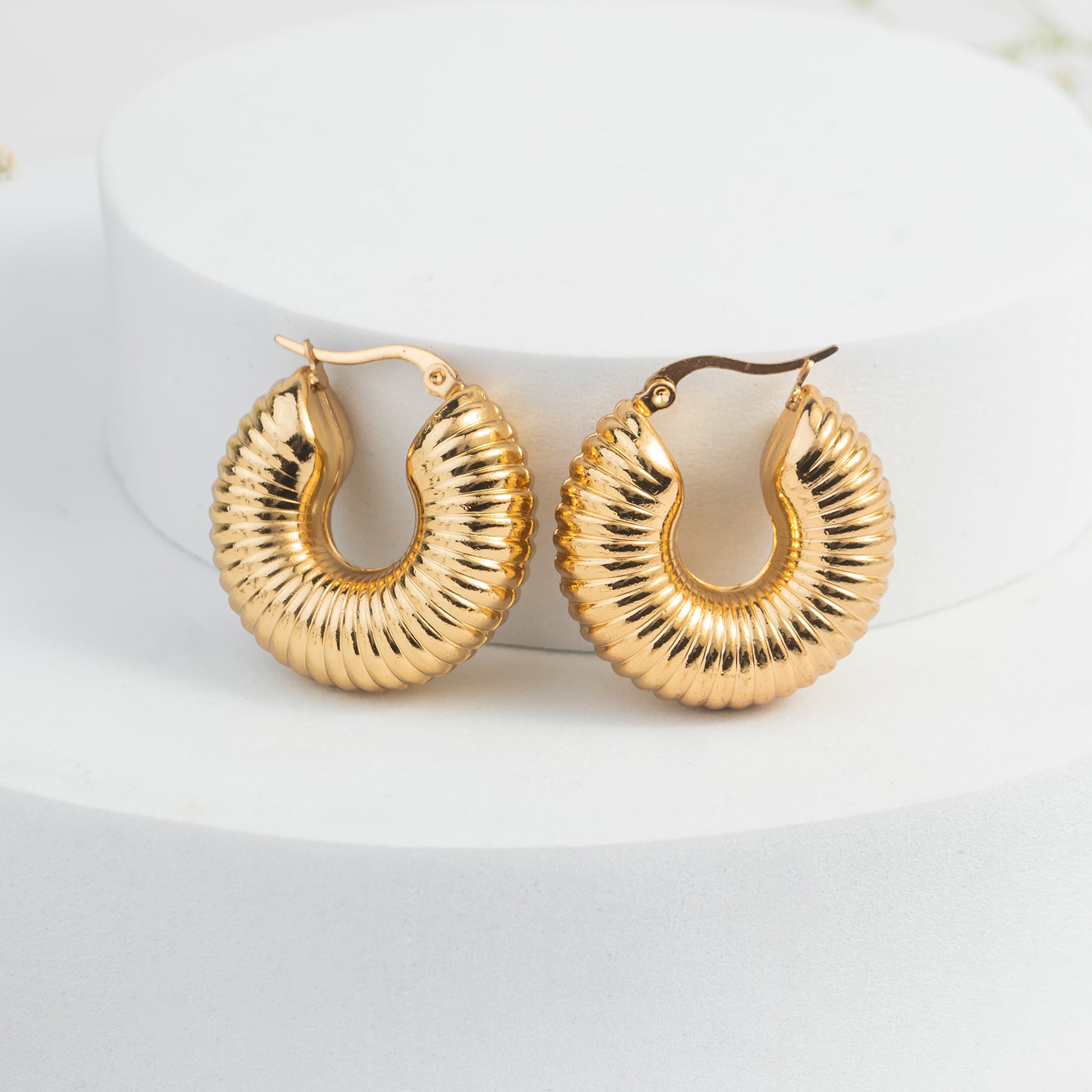 Sophia Chunky Hoops